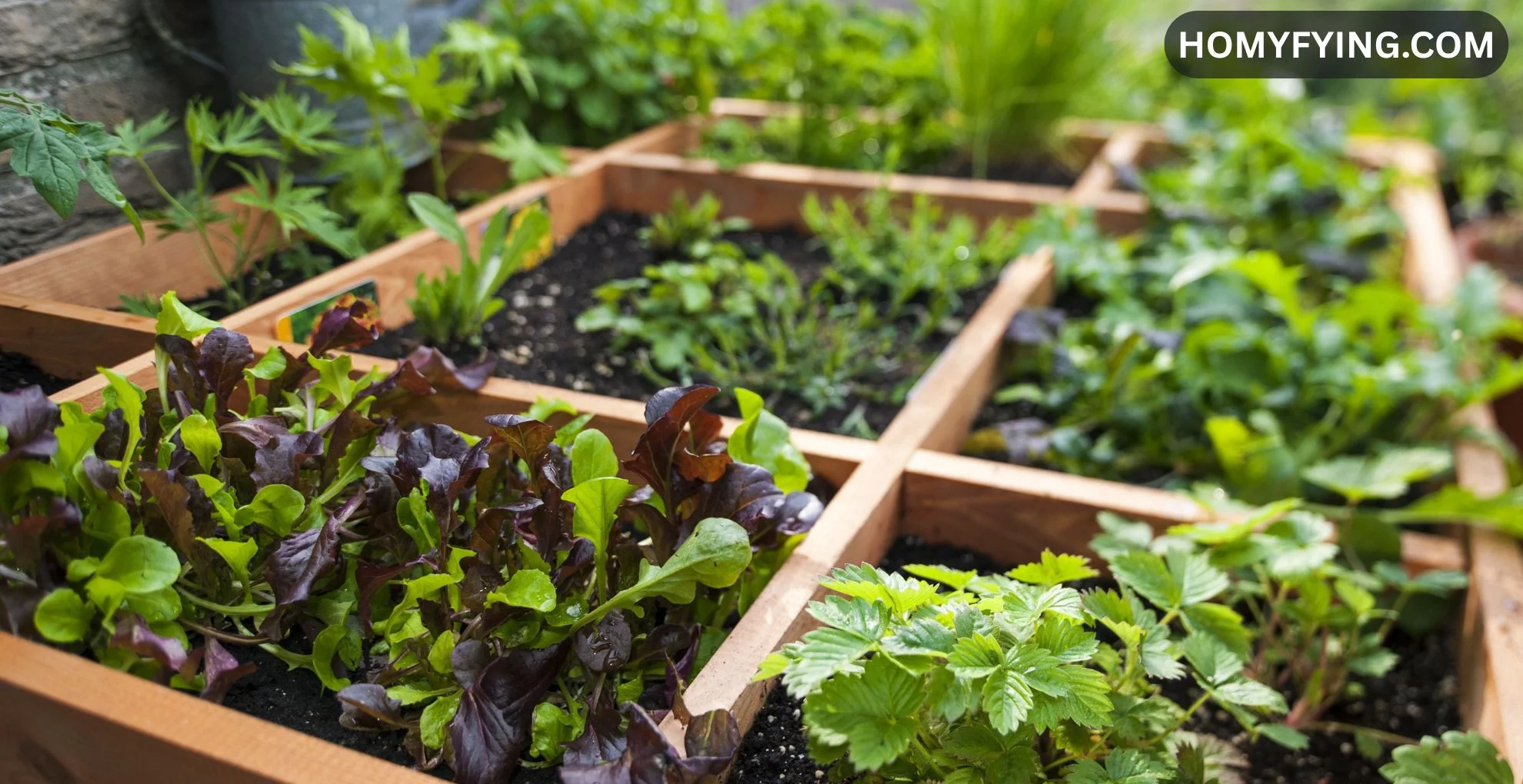 Grid Layout Garden Beds